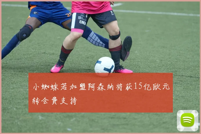 小蜘蛛若加盟阿森纳将获15亿欧元转会费支持